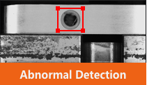 Abnormal Detection