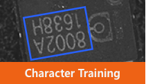 Character Training